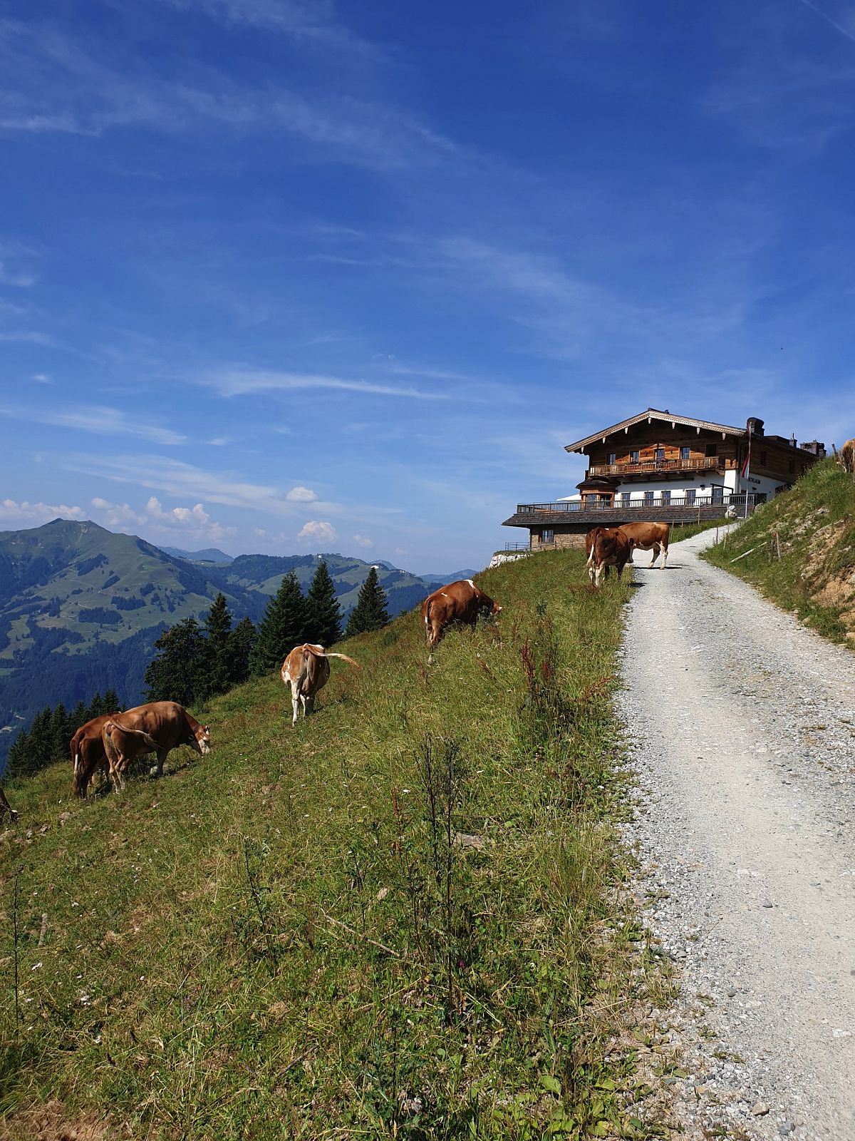 Kitzbühel BichlAlm Hotel Unterkunft Tirol